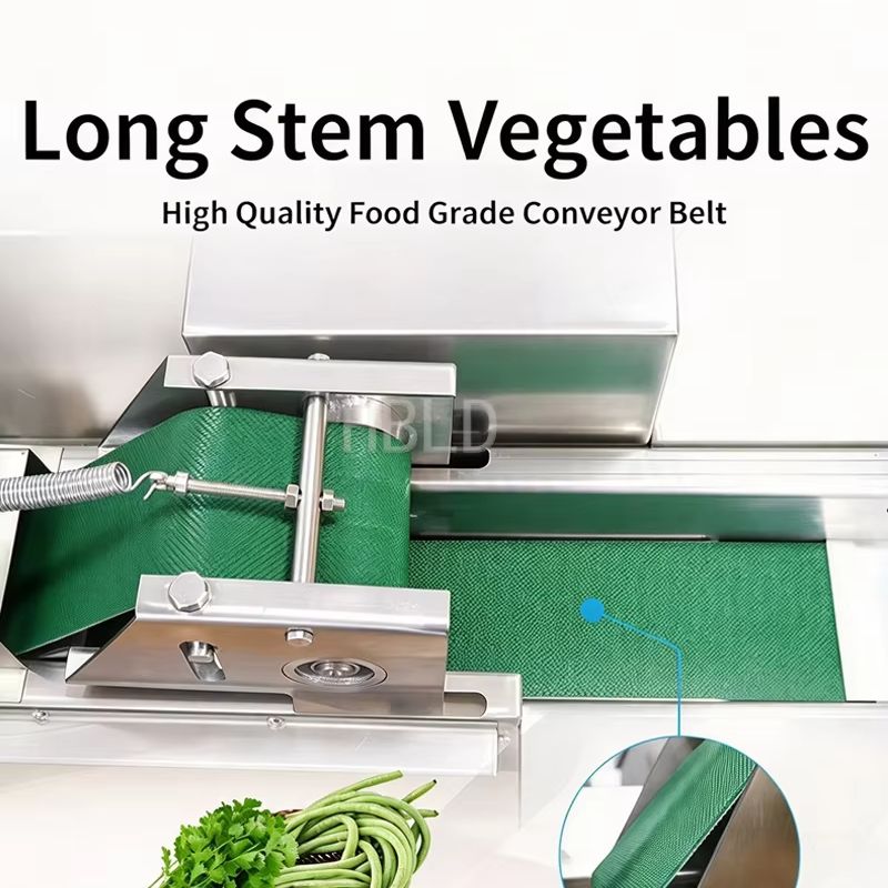 Broyeur de légumes commercial, - Food Slicer Machine Stainless avis et prix